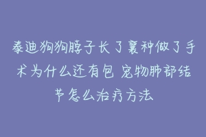 泰迪狗狗脖子长了襄种做了手术为什么还有包 宠物肺部结节怎么治疗方法