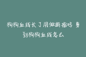 狗狗血线长了用做断指吗 剪到狗狗血线怎么