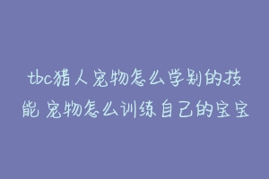 tbc猎人宠物怎么学别的技能 宠物怎么训练自己的宝宝