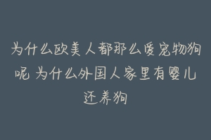 为什么欧美人都那么爱宠物狗呢 为什么外国人家里有婴儿还养狗