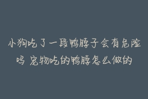 小狗吃了一段鸭脖子会有危险吗 宠物吃的鸭脖怎么做的