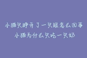 小猫只睁开了一只眼怎么回事 小猫为什么只吃一只奶