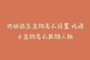 地铁逃生宠物怎么设置 吃鸡小宠物怎么跟随人跳