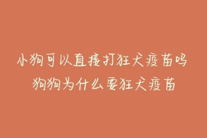 小狗可以直接打狂犬疫苗吗 狗狗为什么要狂犬疫苗