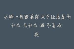 小猫一直跟着你又不让摸是为什么 为什么 猫 不喜欢 抱