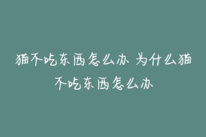 猫不吃东西怎么办 为什么猫不吃东西怎么办