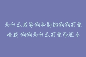 为什么我家狗和别的狗狗打架咬我 狗狗为什么打架而胆小