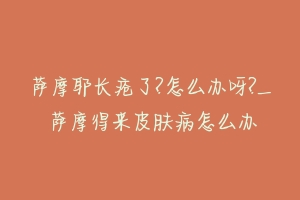 萨摩耶长疮了?怎么办呀?_ 萨摩得来皮肤病怎么办