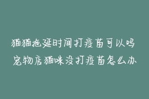 猫猫拖延时间打疫苗可以吗 宠物店猫咪没打疫苗怎么办