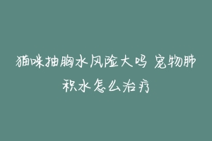 猫咪抽胸水风险大吗 宠物肺积水怎么治疗