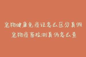 宠物健康免疫证怎么区分真假 宠物疫苗检测真伪怎么查