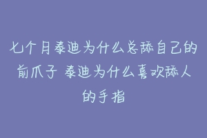 七个月泰迪为什么总舔自己的前爪子 泰迪为什么喜欢舔人的手指