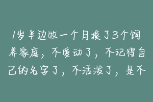 1岁半边牧一个月换了3个饲养家庭，不爱动了，不记得自己的名字了，不活泼了，是不是得抑郁症了，怎么治疗 宠物心理疾病怎么治疗的