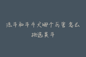 法斗和斗牛犬哪个厉害 怎么挑选英斗