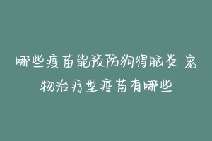 哪些疫苗能预防狗得脑炎 宠物治疗型疫苗有哪些