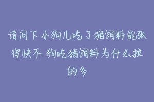 请问下小狗儿吃了猪饲料能张得快不 狗吃猪饲料为什么拉的多