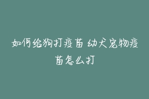 如何给狗打疫苗 幼犬宠物疫苗怎么打