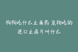 狗狗吃什么止痛药 宠物吃的进口止疼片叫什么