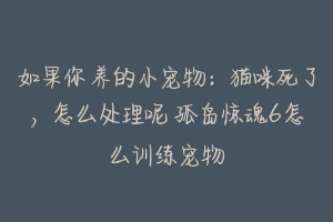 如果你养的小宠物：猫咪死了，怎么处理呢 孤岛惊魂6怎么训练宠物