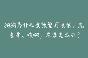 狗狗为什么会频繁打喷嚏、流鼻涕、咳嗽，应该怎么办？