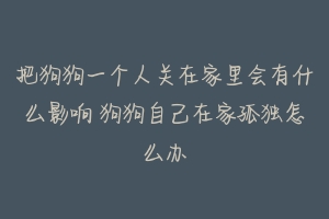 把狗狗一个人关在家里会有什么影响 狗狗自己在家孤独怎么办