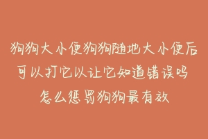 狗狗大小便狗狗随地大小便后可以打它以让它知道错误吗 怎么惩罚狗狗最有效