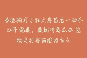 泰迪狗打了狂犬疫苗后一动不动不能摸，摸就叫怎么办 宠物犬打疫苗维持多久