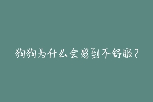 狗狗为什么会感到不舒服？