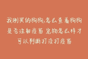 我刚买的狗狗,怎么查看狗狗是否注射疫苗 宠物怎么样才可以判断打没打疫苗