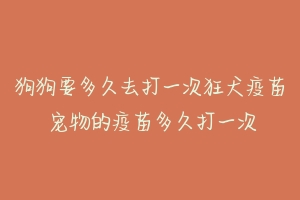 狗狗要多久去打一次狂犬疫苗 宠物的疫苗多久打一次