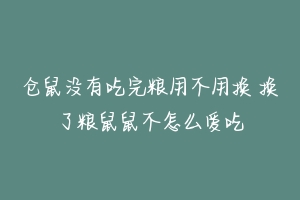 仓鼠没有吃完粮用不用换 换了粮鼠鼠不怎么爱吃