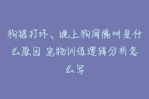 狗被打坏、晚上狗间隔叫是什么原因 宠物训练逻辑分析怎么写