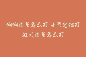 狗狗疫苗怎么打 小型宠物打狂犬疫苗怎么打