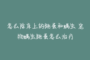 怎么除床上的跳蚤和螨虫 宠物螨虫跳蚤怎么治疗