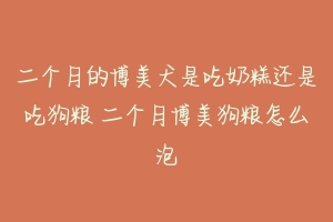 二个月的博美犬是吃奶糕还是吃狗粮 二个月博美狗粮怎么泡