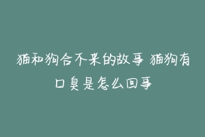 猫和狗合不来的故事 猫狗有口臭是怎么回事