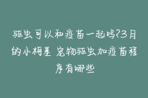 驱虫可以和疫苗一起吗?3月的小柯基 宠物驱虫加疫苗程序有哪些