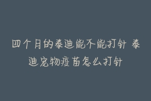 四个月的泰迪能不能打针 泰迪宠物疫苗怎么打针