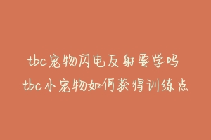 tbc宠物闪电反射要学吗 tbc小宠物如何获得训练点