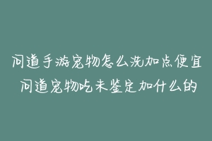 问道手游宠物怎么洗加点便宜 问道宠物吃未鉴定加什么的