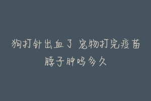 狗打针出血了 宠物打完疫苗脖子肿吗多久