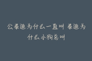 公泰迪为什么一直叫 泰迪为什么小狗总叫