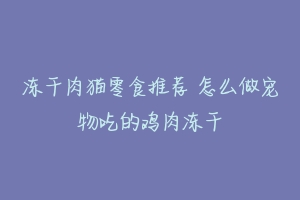 冻干肉猫零食推荐 怎么做宠物吃的鸡肉冻干