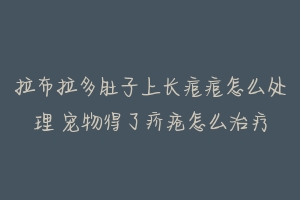 拉布拉多肚子上长痘痘怎么处理 宠物得了疥疮怎么治疗