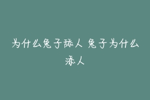 为什么兔子舔人 兔子为什么添人