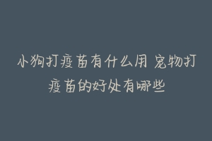 小狗打疫苗有什么用 宠物打疫苗的好处有哪些