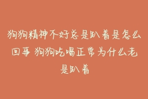 狗狗精神不好总是趴着是怎么回事 狗狗吃喝正常为什么老是趴着