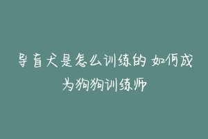 导盲犬是怎么训练的 如何成为狗狗训练师