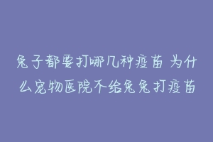 兔子都要打哪几种疫苗 为什么宠物医院不给兔兔打疫苗