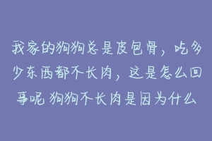 我家的狗狗总是皮包骨，吃多少东西都不长肉，这是怎么回事呢 狗狗不长肉是因为什么